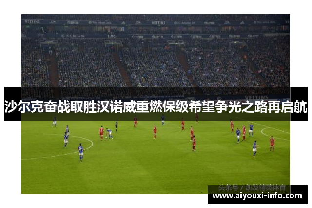 沙尔克奋战取胜汉诺威重燃保级希望争光之路再启航