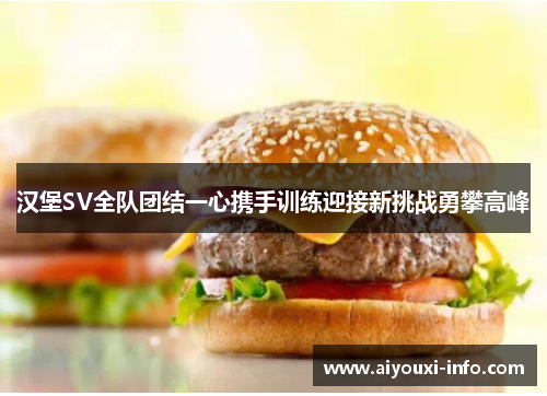 汉堡SV全队团结一心携手训练迎接新挑战勇攀高峰