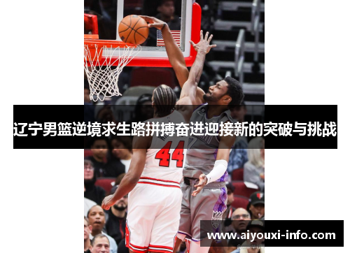 辽宁男篮逆境求生路拼搏奋进迎接新的突破与挑战