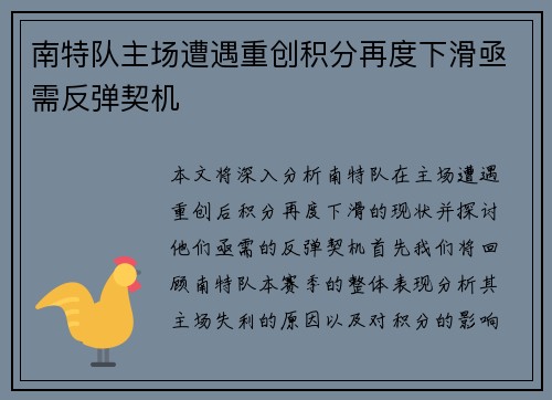 南特队主场遭遇重创积分再度下滑亟需反弹契机