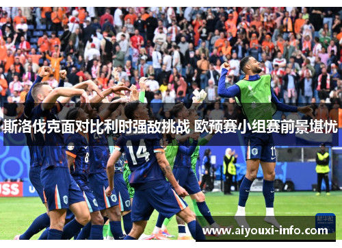 斯洛伐克面对比利时强敌挑战 欧预赛小组赛前景堪忧