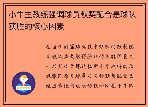 小牛主教练强调球员默契配合是球队获胜的核心因素
